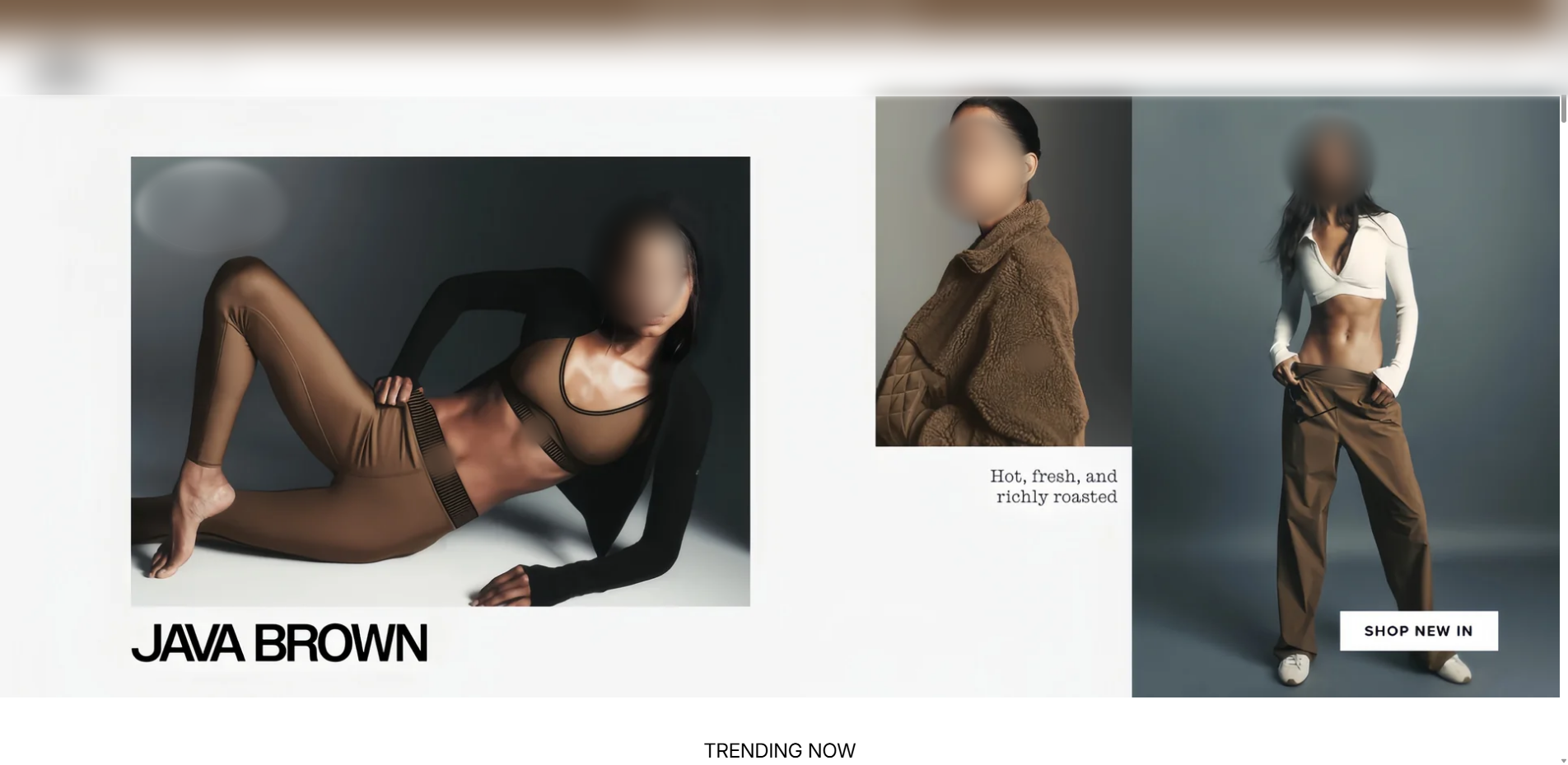 Storefront clone of a real brand, with logos and faces blurred